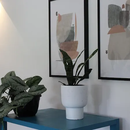 Apartament Carducci *